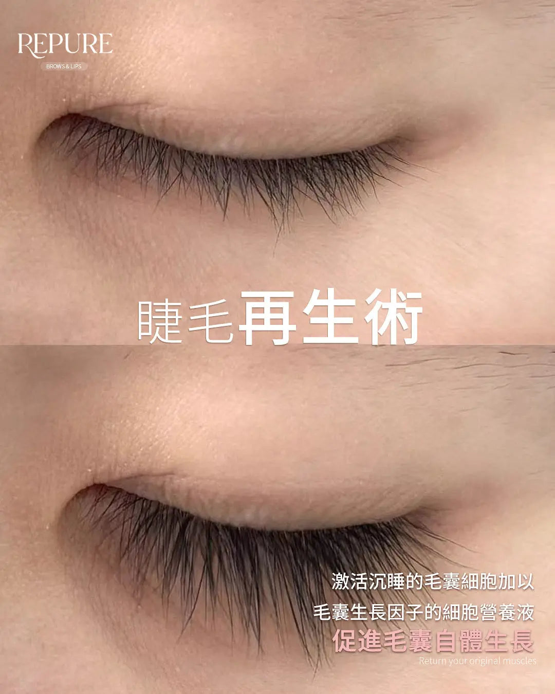 Repure Brows | 角蛋白翹睫 Repure Brows